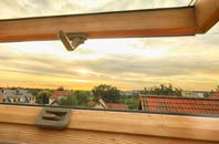 rated Rhue roof window companies